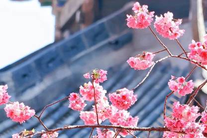 https://mmbiz.qpic.cn/mmbiz_jpg/uBqUvETFcM1ib1IOvN54NPalIibH5LCkFVWwxibiahicepc4694VYkbnzN0DB8N6QSOUZx7RcpmkbicHzCYk8DsLpiaJQ/640?wx_fmt=jpeg&from=appmsg